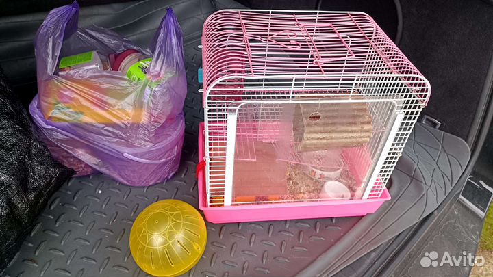 Клетка для джунгарского хомяка