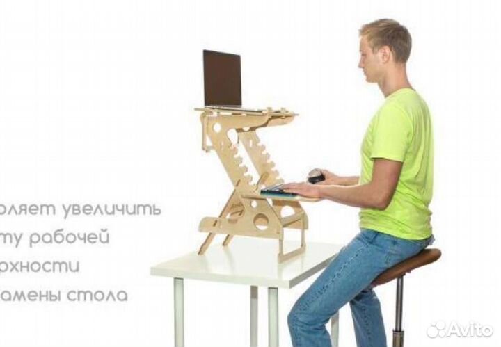 Стойка сурикатус