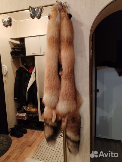 Шкурка животного