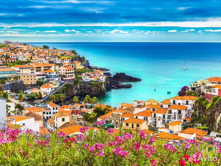 Написание бизнес плана для получения бизнес визы