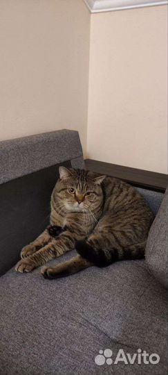 Котик для вязки