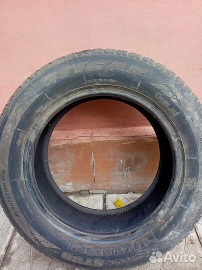 Tigar Sigura Stud 175/65 R14 82T