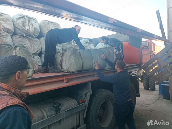 Грузчики, разнорабочие