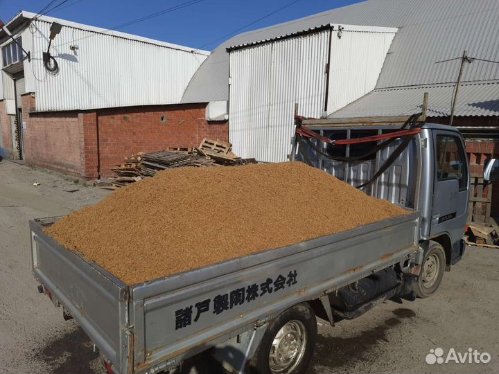 Пивная дробина