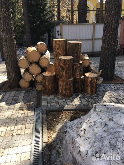 Спил деревьев