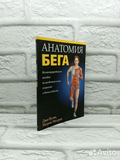 Анатомия бега