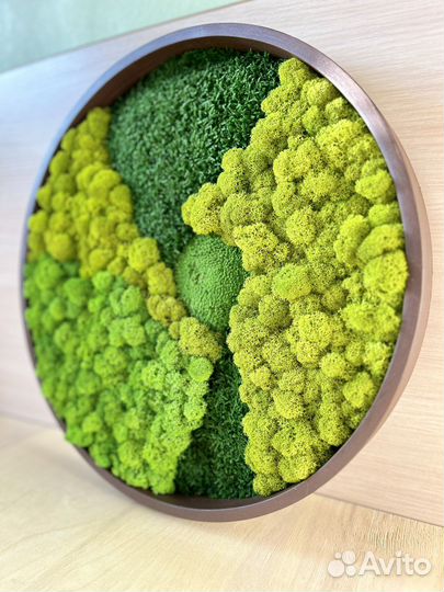 Панно из микса мхов