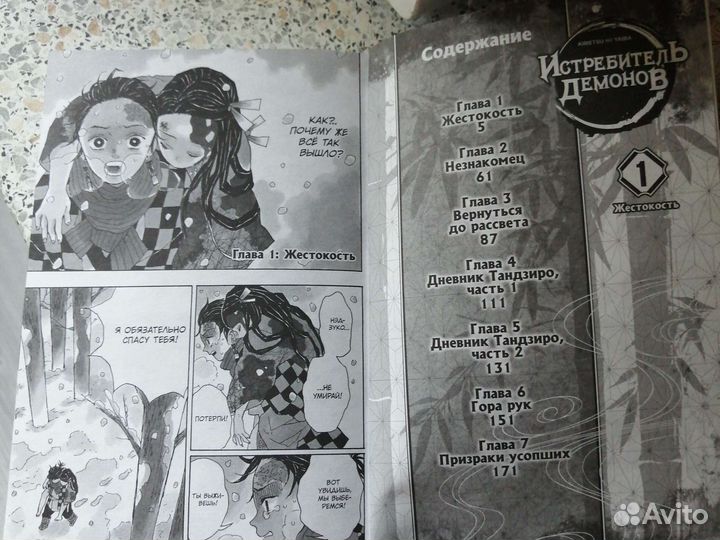 Книга Истребитель демонов