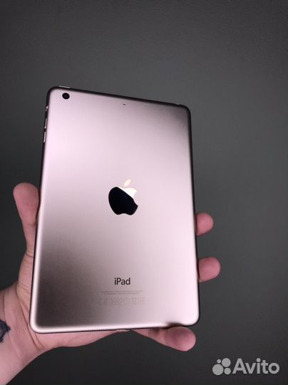 iPad mini 3 16gb
