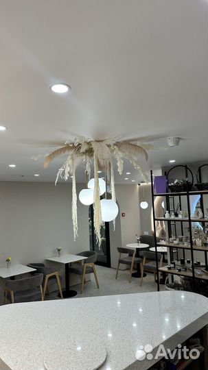 Цветы кофе аромат