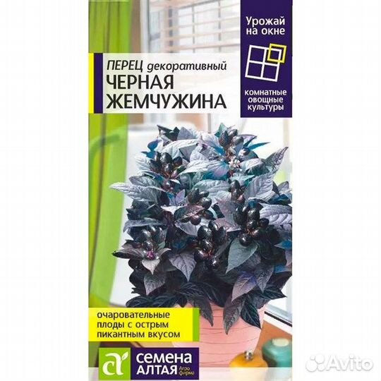Перец горький черная жемчужина