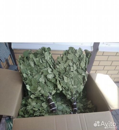 Березовые веники