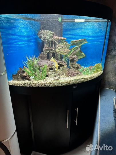 Аквариум с тумбой juwel 190 л