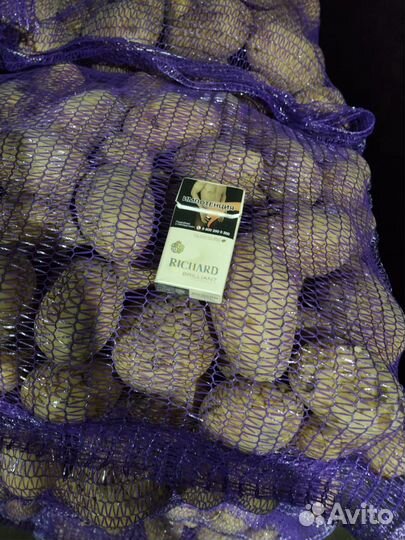 Продам картофель