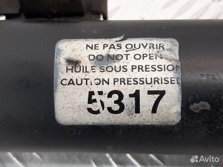 Стойка для Peugeot-Citroen 307