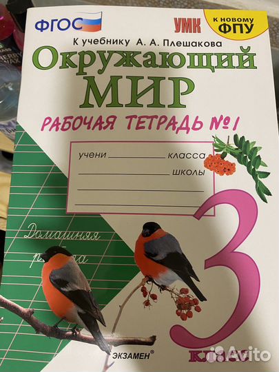 Рабочая тетрадь окружающий мир 3 класс