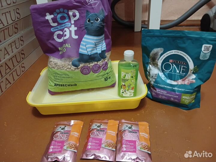 Лоток для кошек