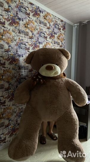 Плюшевый медведь