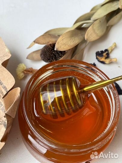 Мед натуральный. Собственная пасека