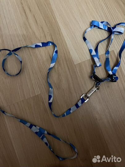 Поводок-шлейка для кошек и собак мелких пород