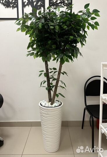 Искусственное дерево фикус