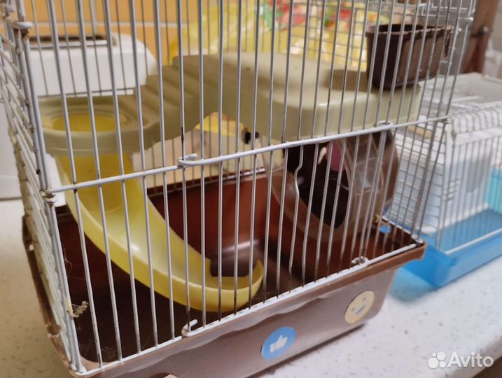 Клетка для грызунов