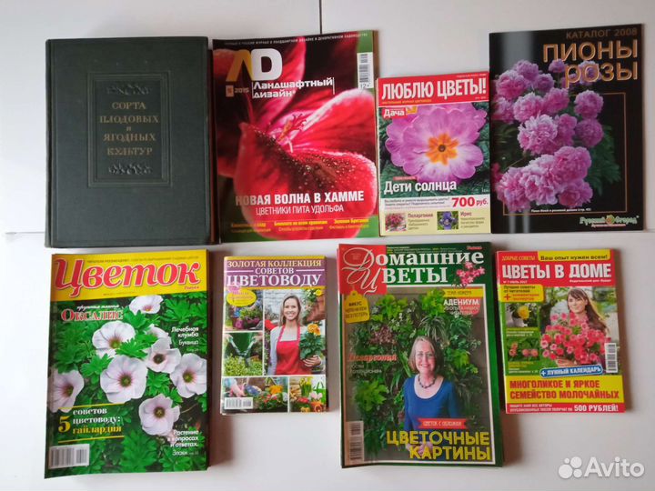 Сад, ландшафт, лекарственные растения