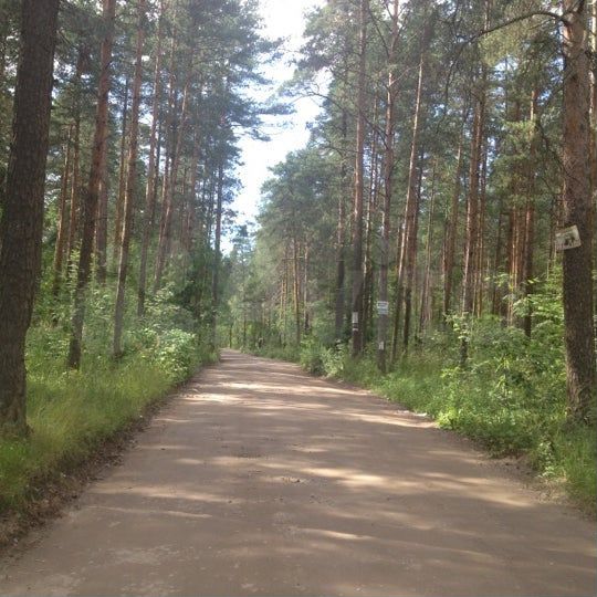 Участок 4 сот. (СНТ, ДНП)