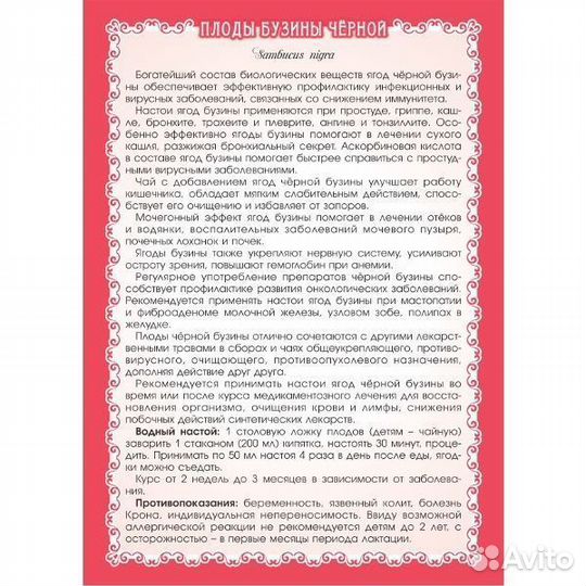 Ягоды черной бузины 50 г Мариславна