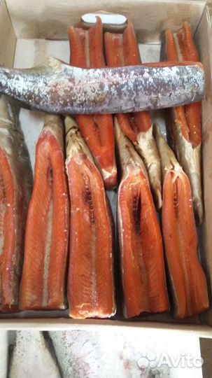 Форель охлажденная из Карелии