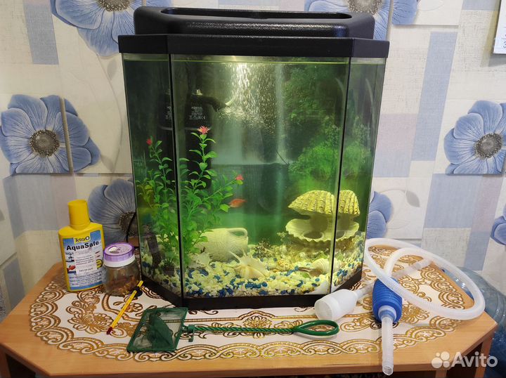 Аквариум с рыбками