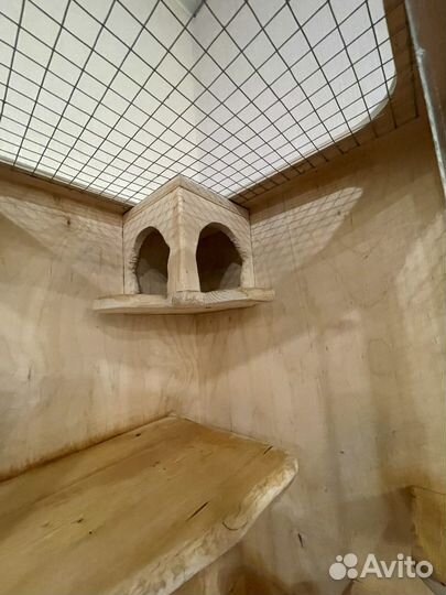 Клетка витрина для шиншиллы бу