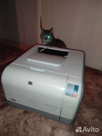 Принтер hp cp1215