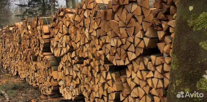 Дрова самовывоз