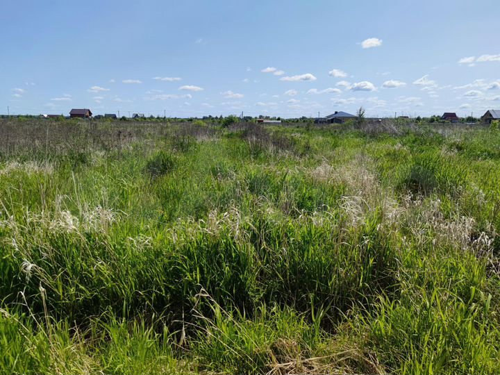 Участок 12 сот. (СНТ, ДНП)