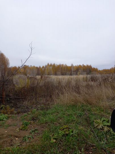 Участок 10 сот. (ИЖС)