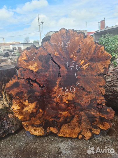 Слэб дерева и спилы