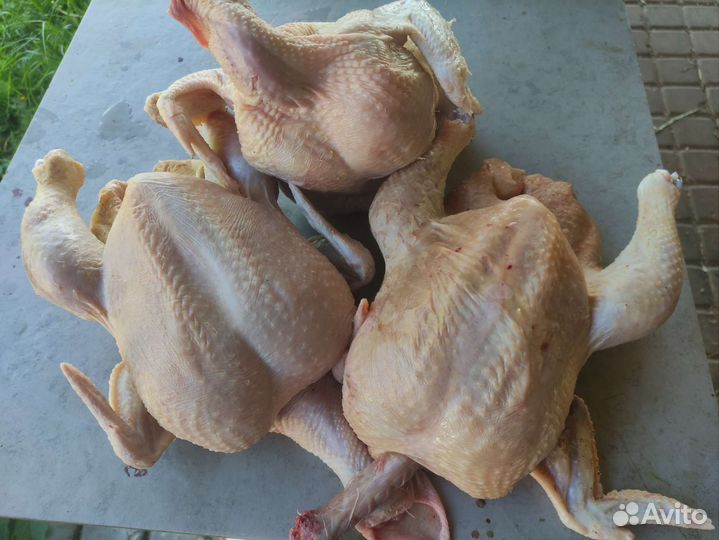 Мясо домашнего бройлера