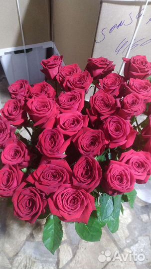 Букет из роз