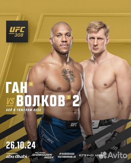 UFC 308 Билеты