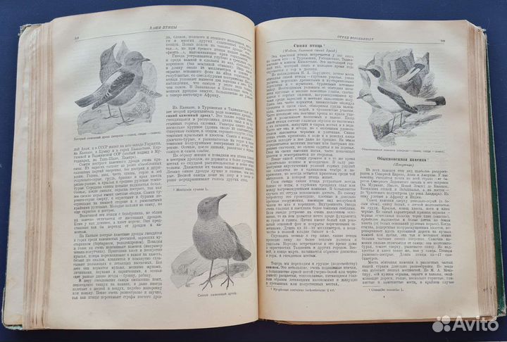 Раритетная книга 1940г. Животный мир СССР