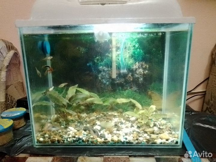 Аквариумные аксессуары