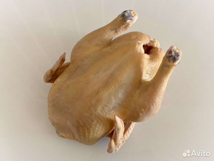 Куры бройлеры тушки