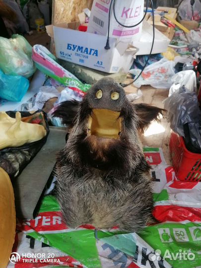 Чучело головы кабана