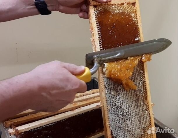 Мед 2024 года натуральный опт