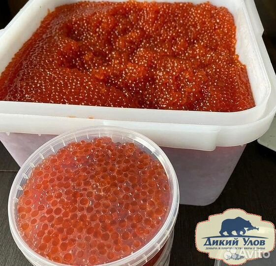 Красная икра / можно попробовать перед покупкой