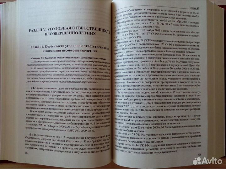 Комментарий к уголовному кодексу России