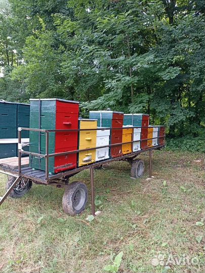 Пчелоприцеп легковой. Пасека. Пчелы