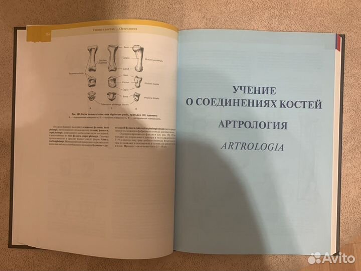 Атлас анатомии человека синельников