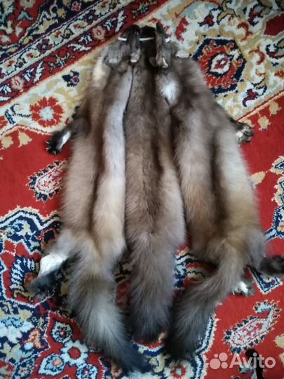 Шкуры енота, куницы, норки